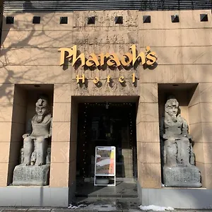 Pharaoh-adult Only *** 札幌市